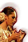 Disfruta en primera línea de las mejores formaciones de flamenco de nuestro país